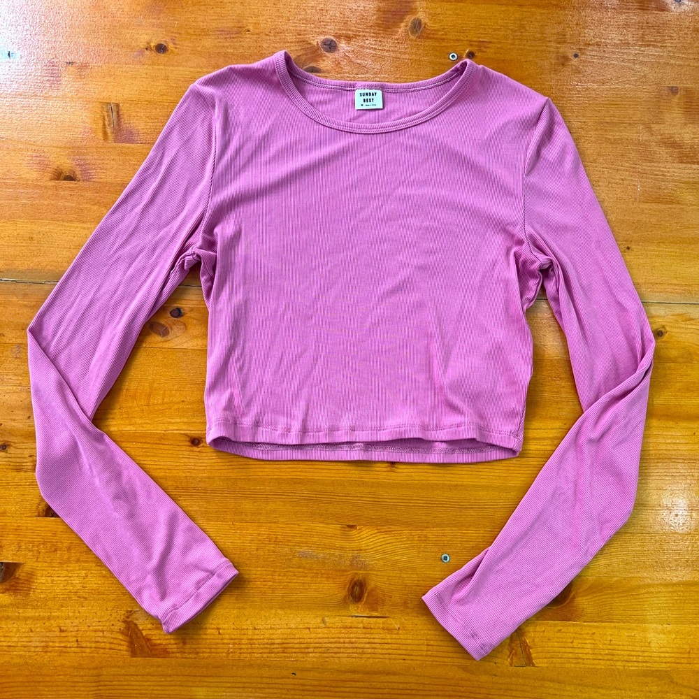 Sunday Best (Aritzia) - Bliss Cropped Longsleeve